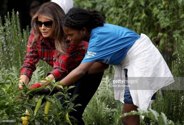 بالفيديو.. السيدة الأولى ميلانيا ترامب تهتم بحديقة البيت الأبيض