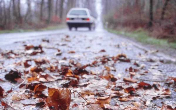 نصائح لقيادة آمنة في فصل الخريف