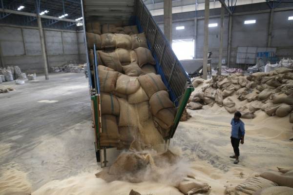 أرز بالدود في سوق تجاري مشهور في إربد