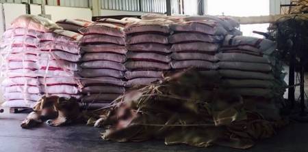 ضبط 7 طن أرز غير صالح للاستهلاك البشري داخل منزل تاجر في الزرقاء