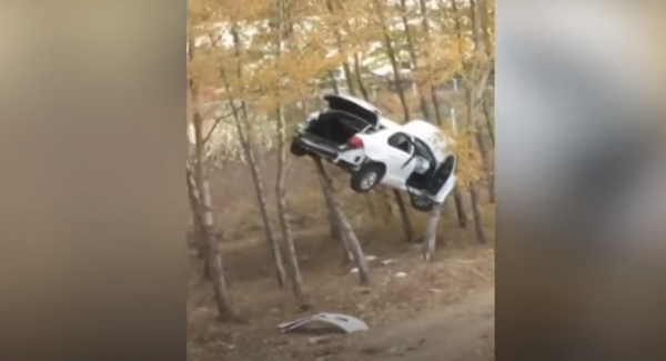 أغرب حادث...سيارة معلقة على فروع الأشجار (فيديو)