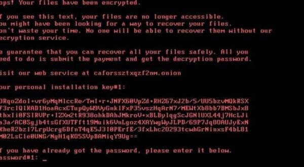 الأرنب السيئ فايروس جديد يجتاح دولا عدة ويطلب فدية