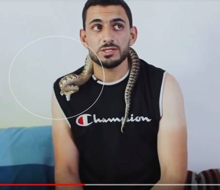 فيديو يعرض لأول مرة .. لحظة تعرض ” الراعي” للدغة الافعى الخطيرة