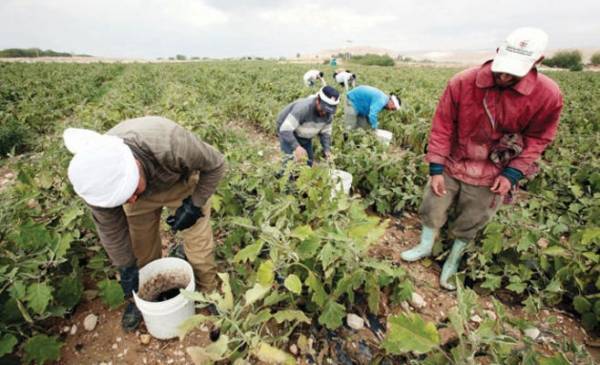 العمل: شروط للموافقة على استبدال العمالة الوافدة