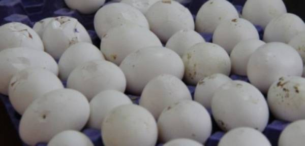 إربد: ضبط كميات كبيره من المواد الغذائية الفاسدة