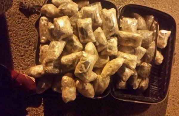 تفاصيل إحباط تهريب مخدرات في مخبأ سري بشاحنة