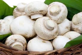 5 حبات من الفطر يومياً يقي من الخرف وأمراض القلب