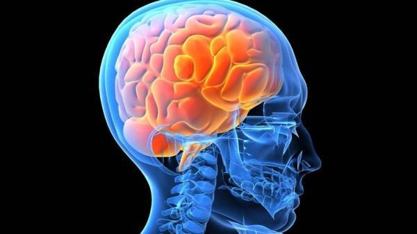 الأردنيون يحتلون المركز الرابع في مستوي الذكاء