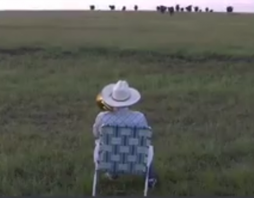 مزارع يستدعي الماشية بالموسيقى  فيديو