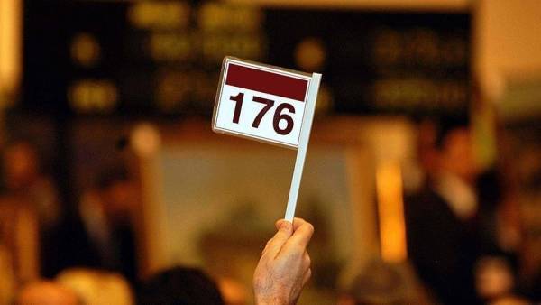 تعليمات جديدة للمزادات العلنية