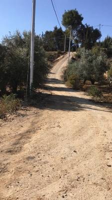 سلطيون بحاجة لـتعبيدشارع وشماعة المسؤولين : لا مخصصات لدينا  صور