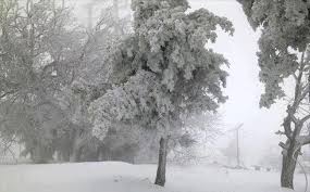 مواقع عالمية تؤكد تساقط الثلوج والطريفي: أمطار فقط