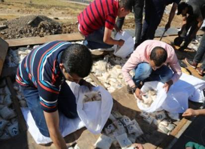 القبض على 21 شخصاً تورطوا بتجارة وترويج المخدرات بالبادية والزرقاء والمفرق