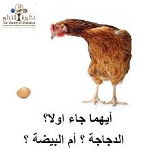 أيهما جاء أولا.. البيضة أم الدجاجة؟  ادخل لتعرف الاجابة؟؟؟