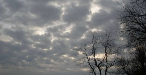 ارتفاع على درجات الحرارة مع بقاء الاجواء باردة