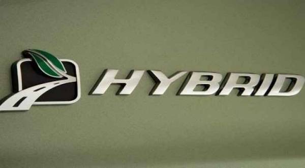 الجبالي لـأخبار البلد: تمديد إعفاء الهايبرد لمدة شهر غير مجدٍ