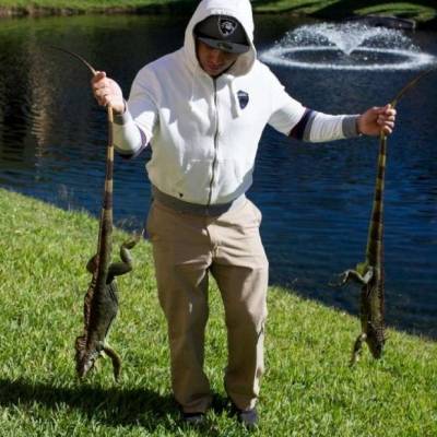 بالصور.. سماء فلوريدا تمطر سحالي مجمدة