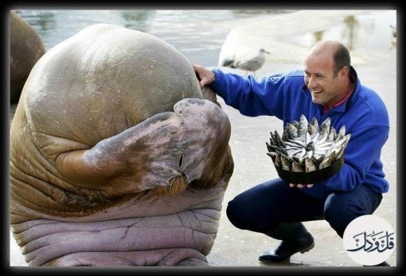 10 صور مثيرة عشقها الجميع حول العالم