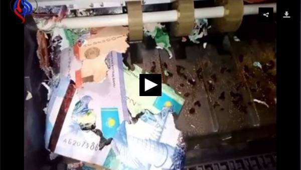 فئران تنهش أموال الصراف الآلي في كازاخستان!