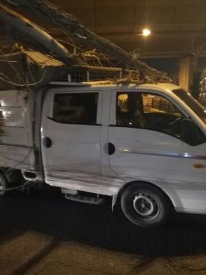 اقتلاع شجرة بفعل الرياح قرب دوار الداخلية