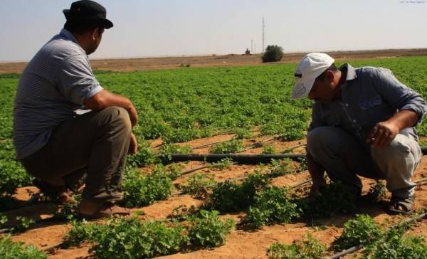 ٤٠٪ من المزارعين مطلوبين للتنفيذ القضائي