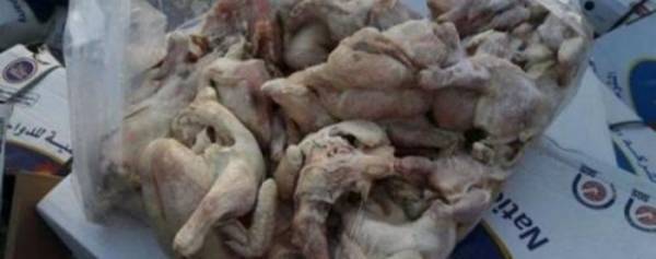 المحكمة تواصل النظر في قضية الدجاج الفاسد وتستمع لشهادة الدكتور عبيدات في الجلسة القادمة