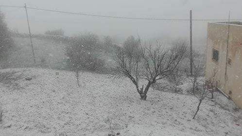 عجلون: جميع الطرق سالكة بحذر