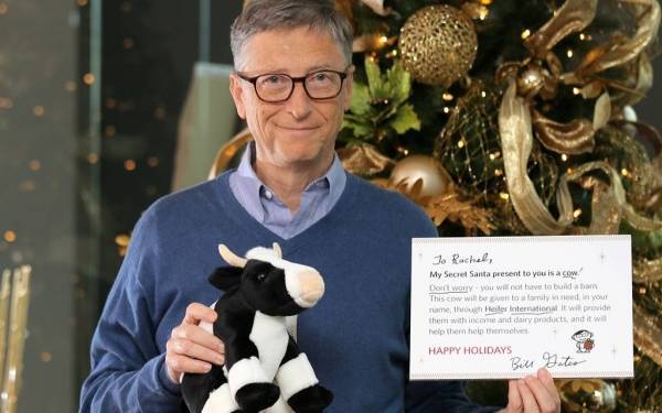 بيل جيتس يتبرع بـ40 مليون دولار لتطوير الأبقار السوبر