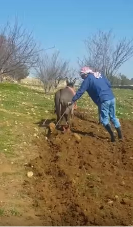 أول تصريح للنائب الحراث حمود الزواهرة