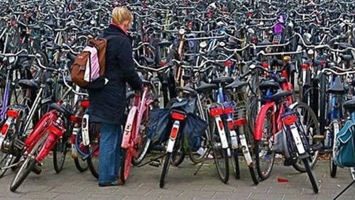 في هولندا.. الدرّاجات الهوائية أكثر من السكان