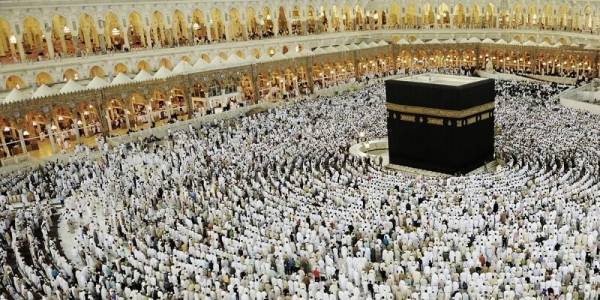 القضاة يوضح آلية عمل شركة الحج والعمرة التابعة لها ..ويصرح بخصوص اعتصام الشركات