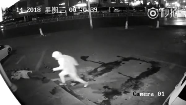 لصٌّ يصيب زميله في أغبى عملية سرقة  فيديو