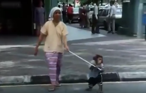 قرد يساعد امراة عمياء لتعبر الطريق  فيديو روعة