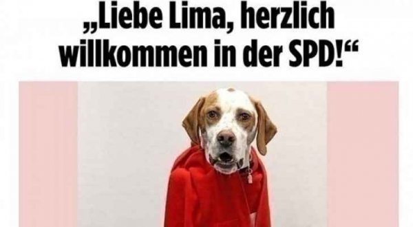 كلب يحصل على عضوية حزب سياسي في ألمانيا