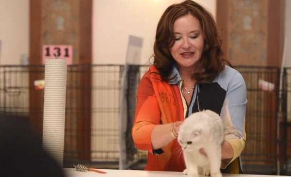 مسابقة لاختيار ملكة جمال القطط في الكويت  فيديو