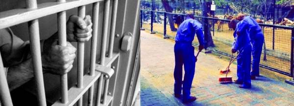 المجالي ..عقوبات مجتمعية نافذة في شهر تشرين الثاني