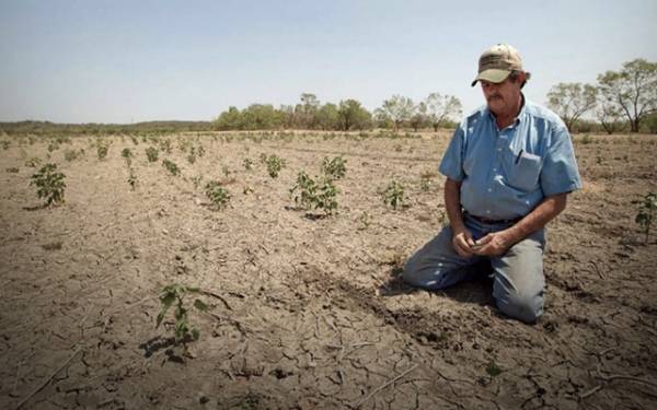 سلة غذاء الاردنيين تبدل اسمها لتصبح  سجن وادي الاردن  .. تفاصيل
