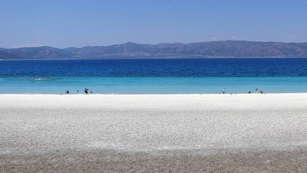 دراسة: السباحة في البحر تسبب الإصابة بآلام الأذن وأمراض معوية