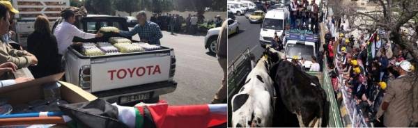 الاتحاد النوعي لمزارعي الدواجن يدعو للمشاركة بالاعتصام