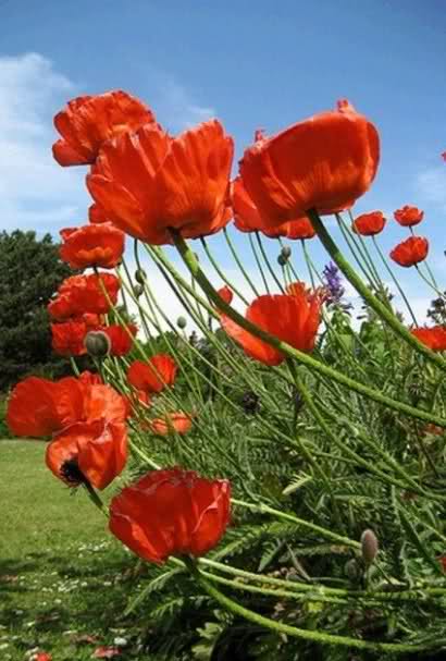 الاعتدال الربيعي الثلاثاء المقبل