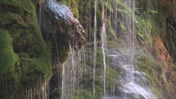 انقاذ اسرة تاهت بواد المشلشلة بالطفيلة