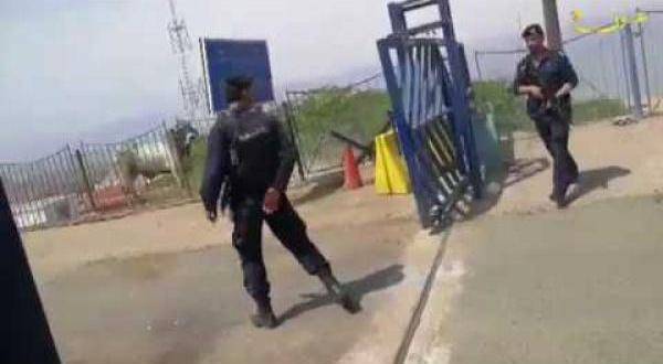 بالفيديو ....الأمن يقتل عجولا هاربة بالعقبة