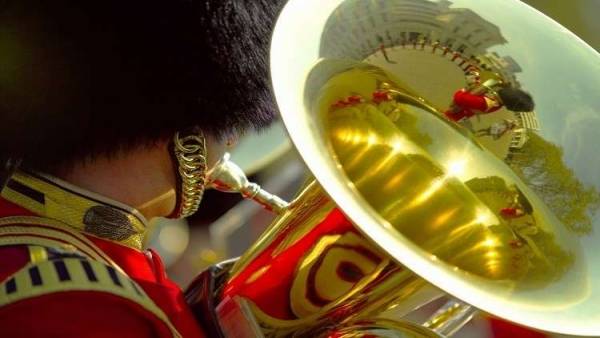 هرمون المتعة لعلاج الجنود الجرحى!