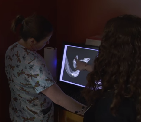 أفعى برأسين وقلبين تدهش العلماء (فيديو)