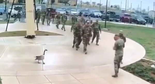 بالفيديو... هلع بين الجنود الأمريكيين بسبب ...........