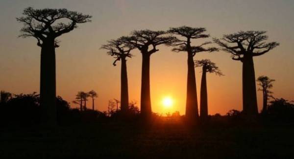 حروب تندلع ودماء تسال وفساد ينتشر في هذه الدولة.. والسبب؟