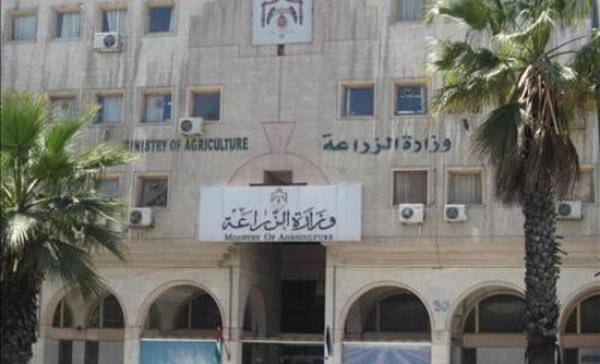 الزراعة ترد على تجار ومصدري الخضار والفواكه