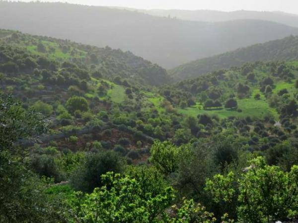 أجواء مشمسة مثالية للرحلات في عموم المناطق