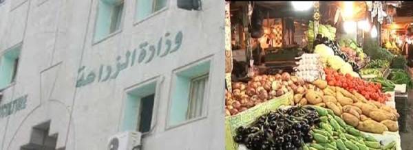 تفاصيل ..وقف تصدير الخضار غدا..والزراعة : لا تراجع وما لا نرضاه للخارج لن نقلبه للمواطن الاردني..