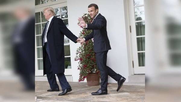 شجرة ترامب وماكرون تختفي من حديقة البيت الأبيض (صور)